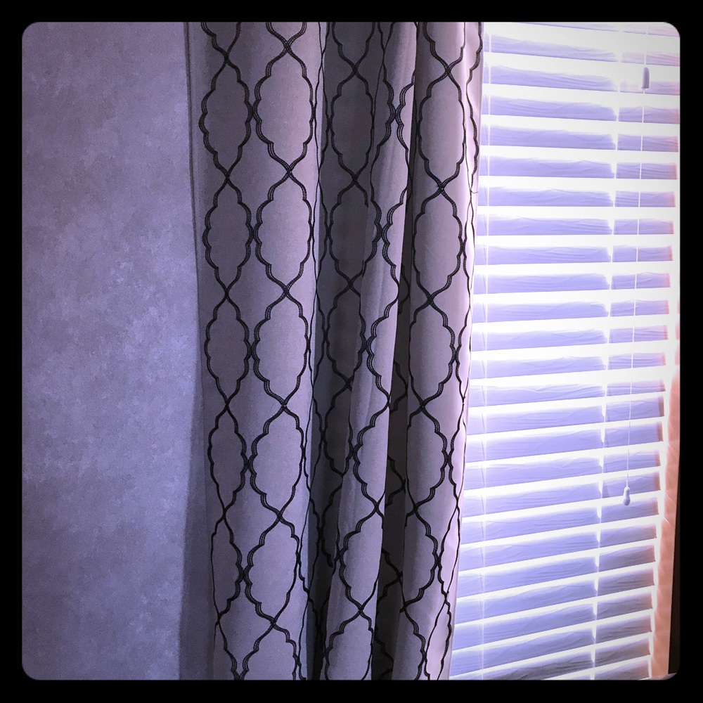 Set of 2 curtains from Dillards